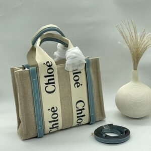 Buy Chloe Small Woody Beige & Light Blue Canvas & Calfskin